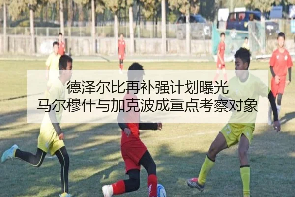 德泽尔比再补强计划曝光 马尔穆什与加克波成重点考察对象